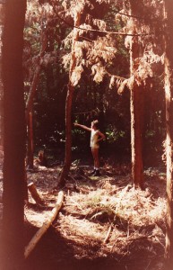 En se promenant dans les bois, je voulais absolument que mon paternel fasse cette photo, car je trouvais l'ambiance très "soucoupe volante".