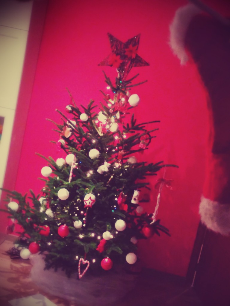 Notre Sapin de Noel 2014