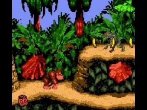 Donkey Kong Country (GBC)