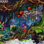 Shantae Risky's Revenge - DSi