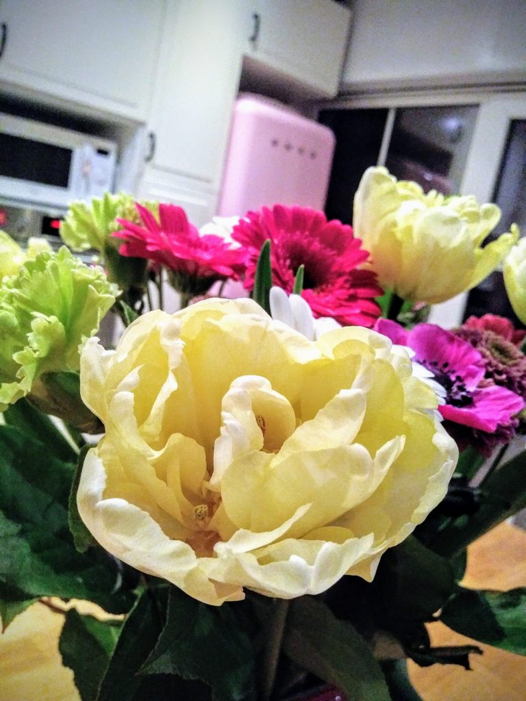 Test LG Q6 - Open Camera